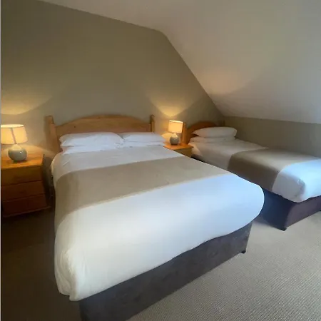 Harbour Nights Dingle