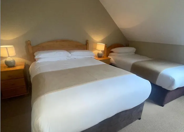 Harbour Nights Dingle