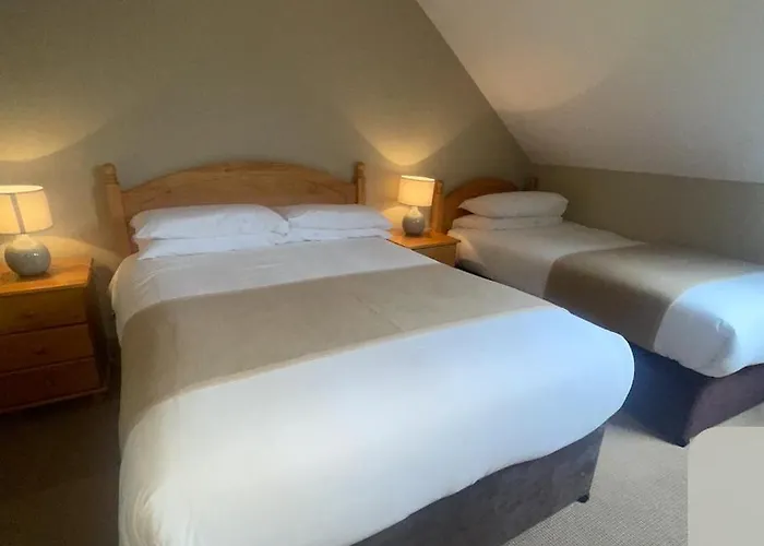 Harbour Nights ディングル